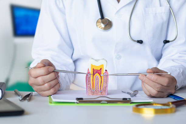 Best Emergency Wisdom Teeth Removal in Annandale, VA